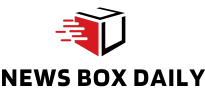 NewsBox Daily web logo for light modee